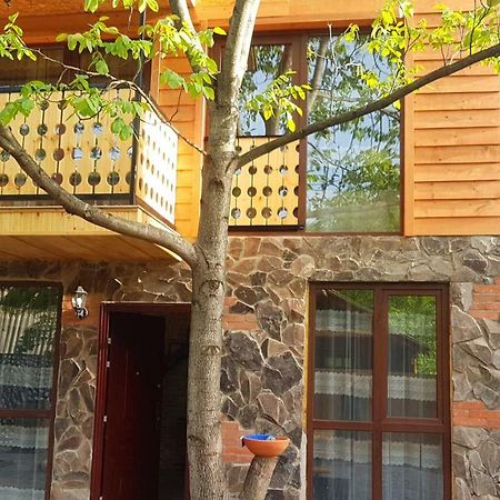 Levani'S Cottage Borjomi Bagian luar foto