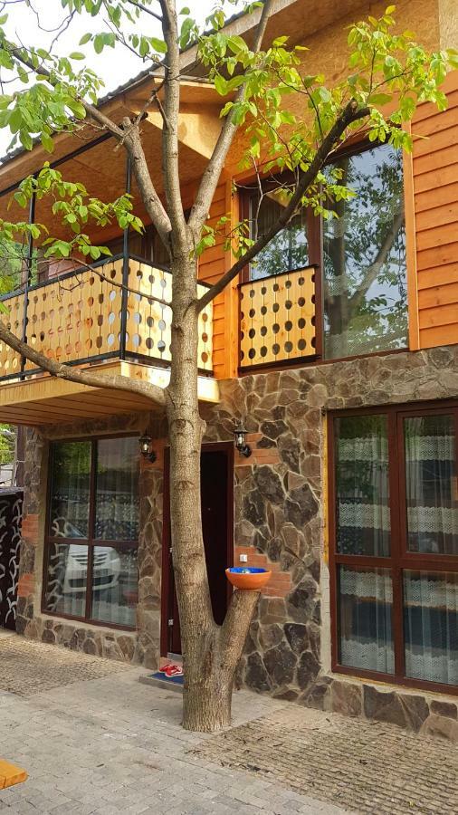 Levani'S Cottage Borjomi Bagian luar foto