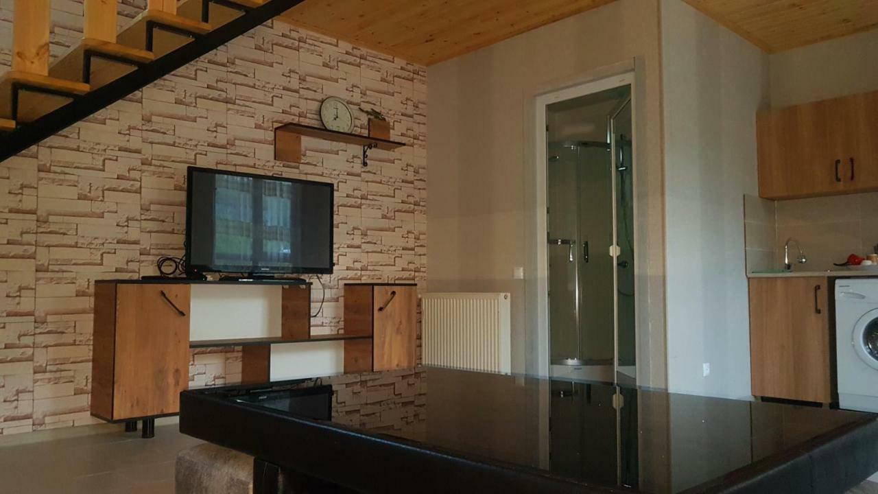 Levani'S Cottage Borjomi Bagian luar foto