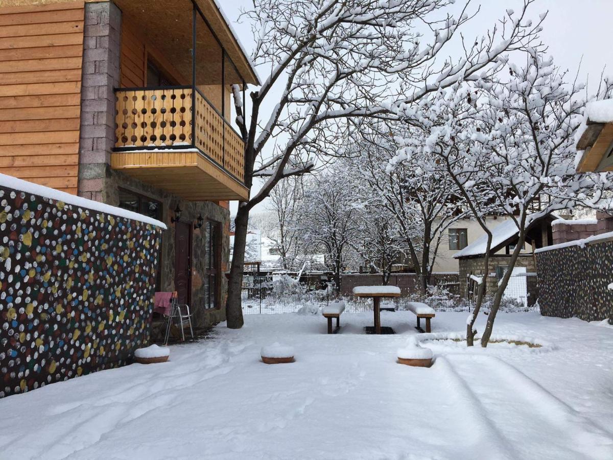 Levani'S Cottage Borjomi Bagian luar foto