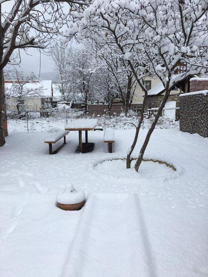 Levani'S Cottage Borjomi Bagian luar foto