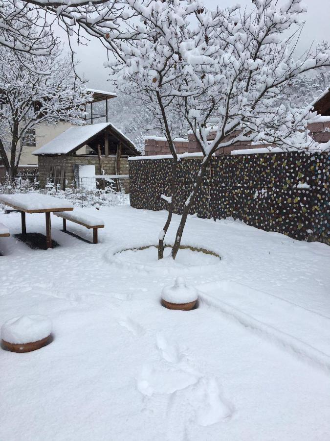 Levani'S Cottage Borjomi Bagian luar foto